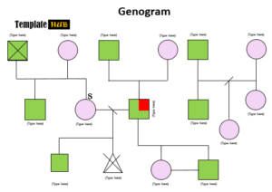 10 Free Genogram Diagram Templates (MS Word) - TemplatesHub.org