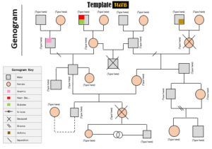 10 Free Genogram Diagram Templates (MS Word) - TemplatesHub.org