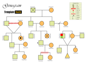 10 Free Genogram Diagram Templates (MS Word) - TemplatesHub.org