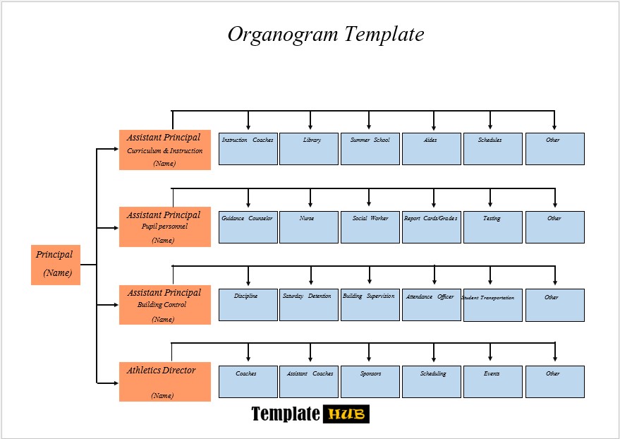 Organogram Template – Horizontal Structure