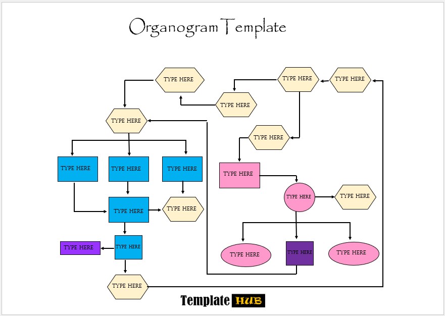 Organogram Template – Colorful Flow Chart