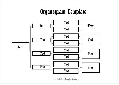 Organogram Template – Basic Theme