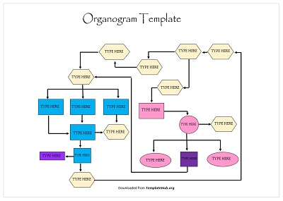 Organogram Template – Colorful Flow Chart