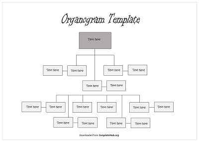 Organogram Template – Grey Vertical Theme