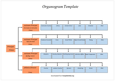Organogram Template – Horizontal Structure