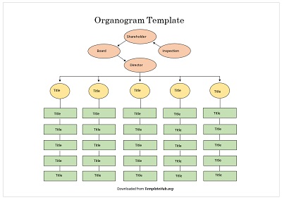 Organogram Template – Vertical Colorful Theme