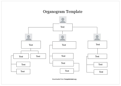 Organogram Template – With Picture Theme