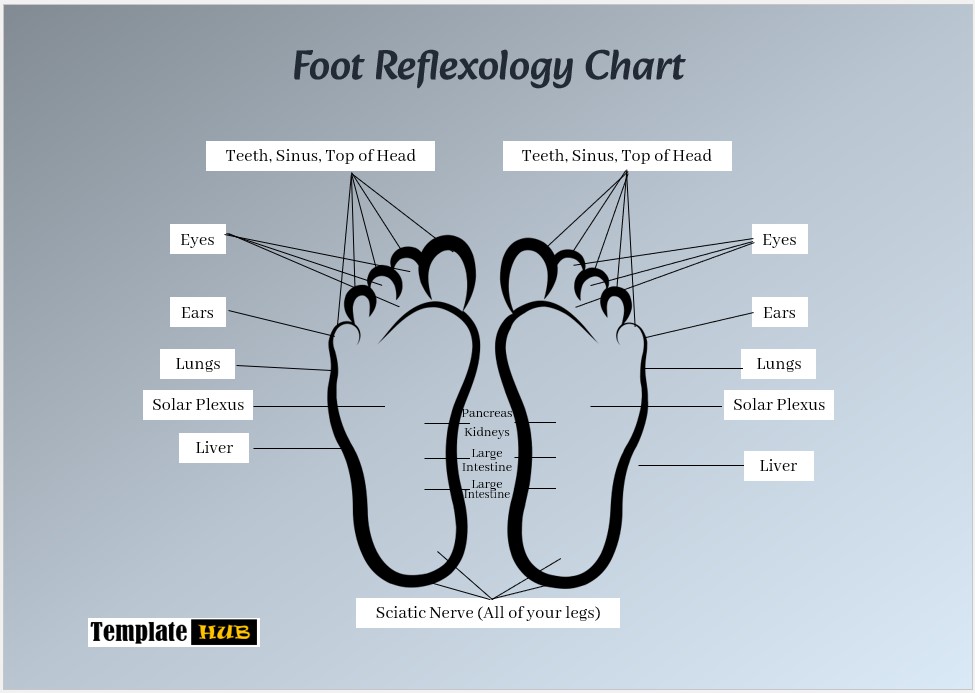 Foot Reflexology Chart – Customizable Format
